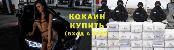соль ск Пестово