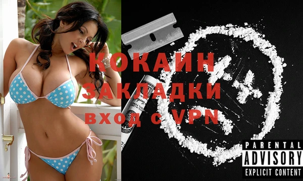 шишки Пересвет