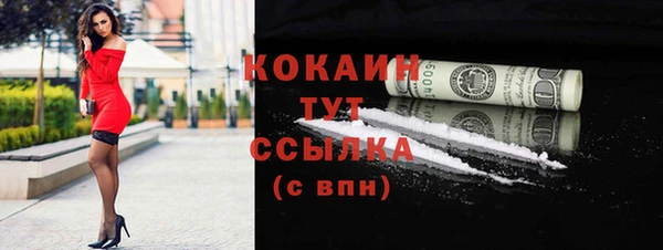 шишки Пересвет