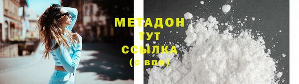 шишки Пересвет