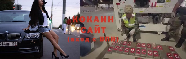 соль ск Пестово