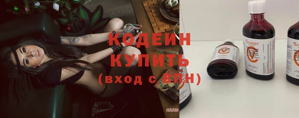шишки Пересвет