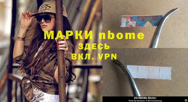 шишки Пересвет
