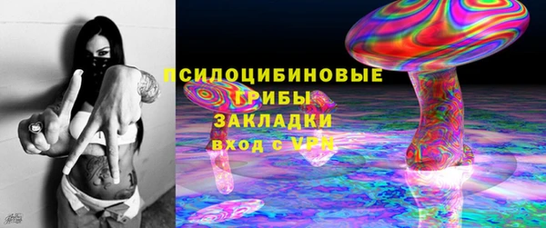 соль ск Пестово