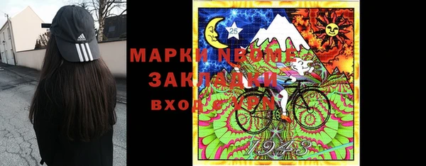 шишки Пересвет