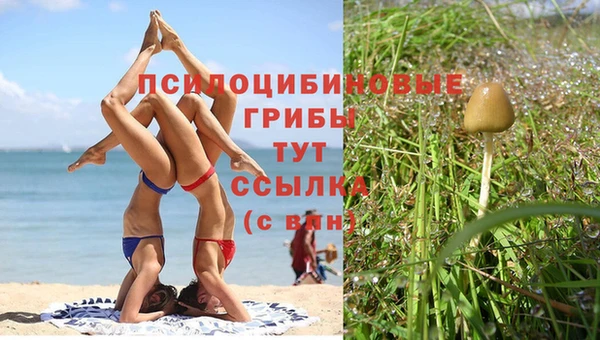 соль ск Пестово