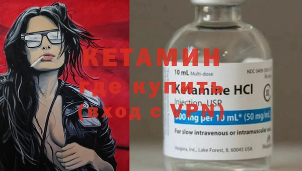 шишки Пересвет