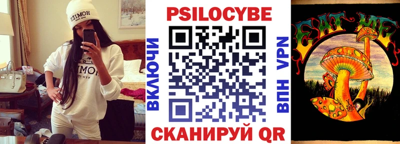 Купить где  Светлоград  Галлюциногенные грибы Cubensis 